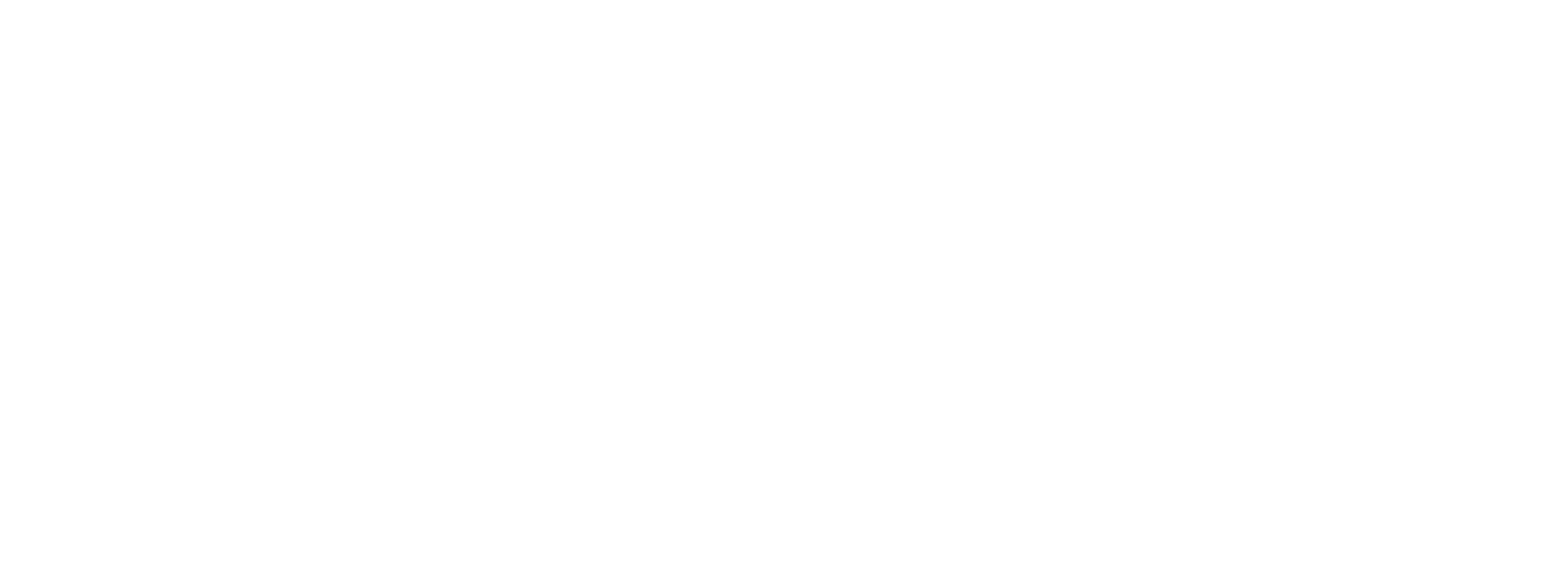 Polyworks Japan